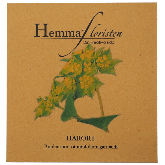 Harört