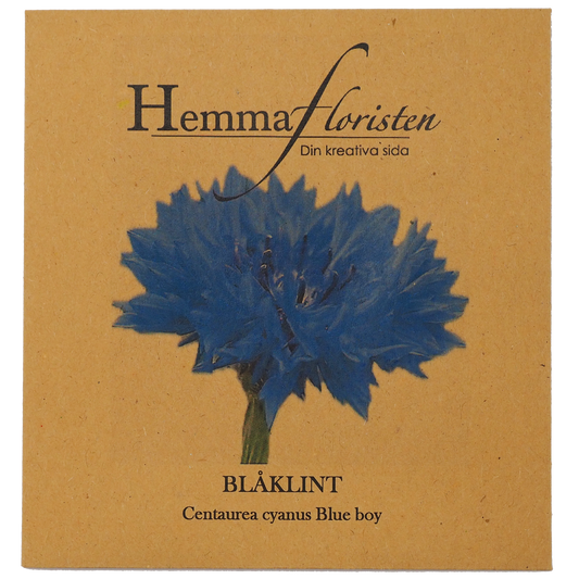 Blåklint Blue Boy