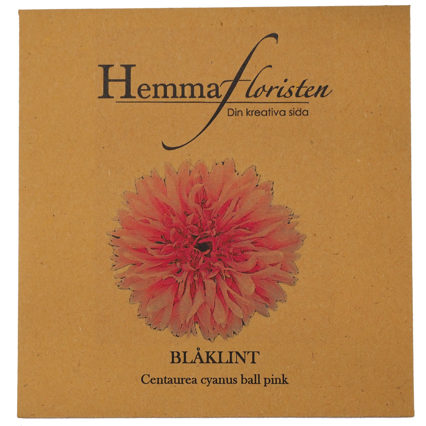 Blåklint rosa