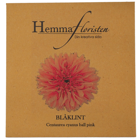 Blåklint rosa