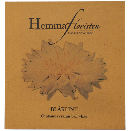 Blåklint vit