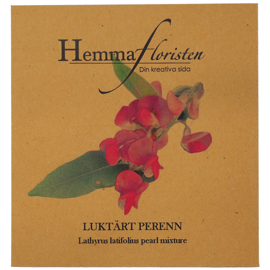 Luktärt perenn
