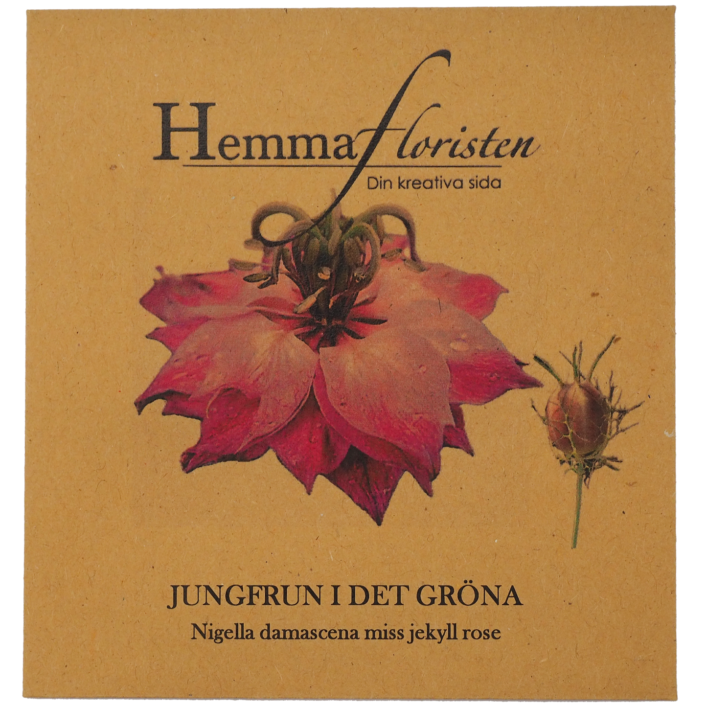 Jomfruen i det grønne, Rosa