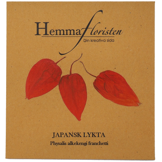 Japansk lykta