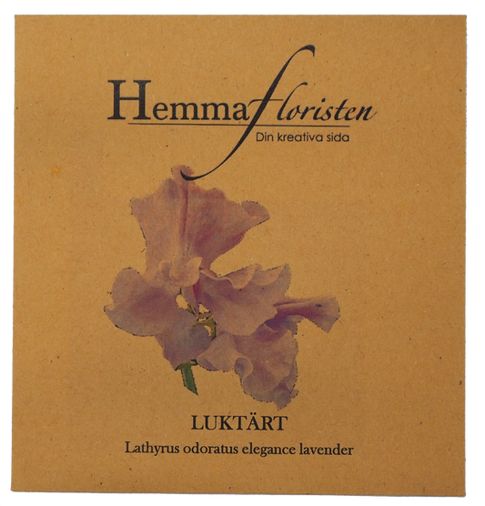 Luktärt - Elegance  lavender