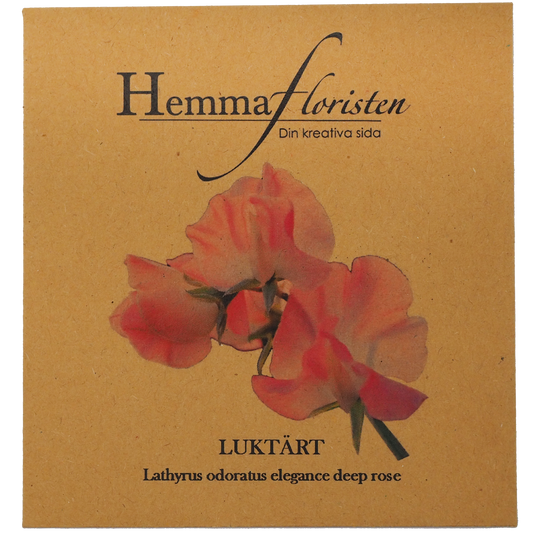 Luktärt - Elegance deep rose