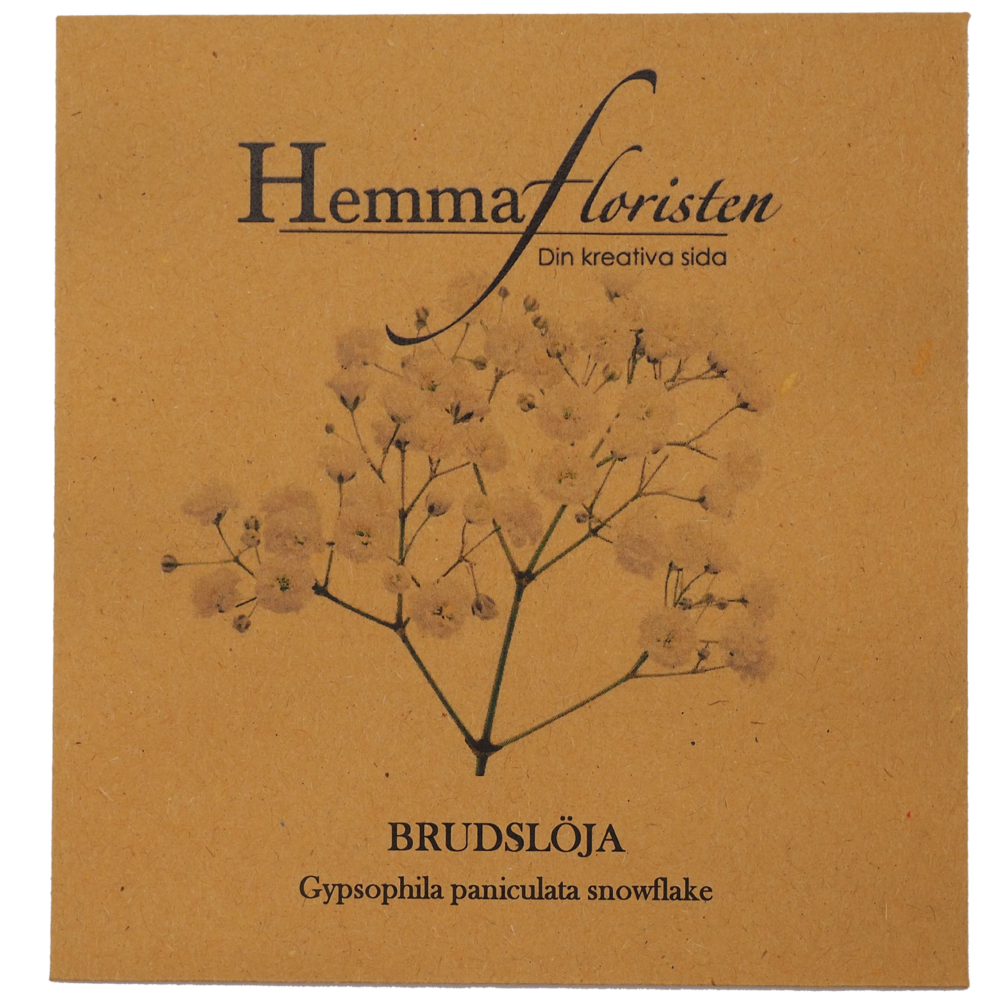 Brudslöja - Snowflake