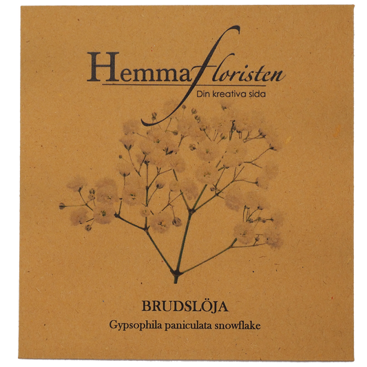 Brudeslør - Snefnug