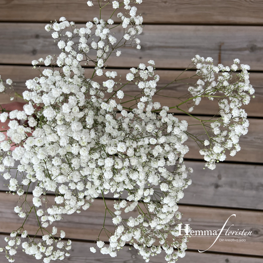 Brudslöja - Snowflake