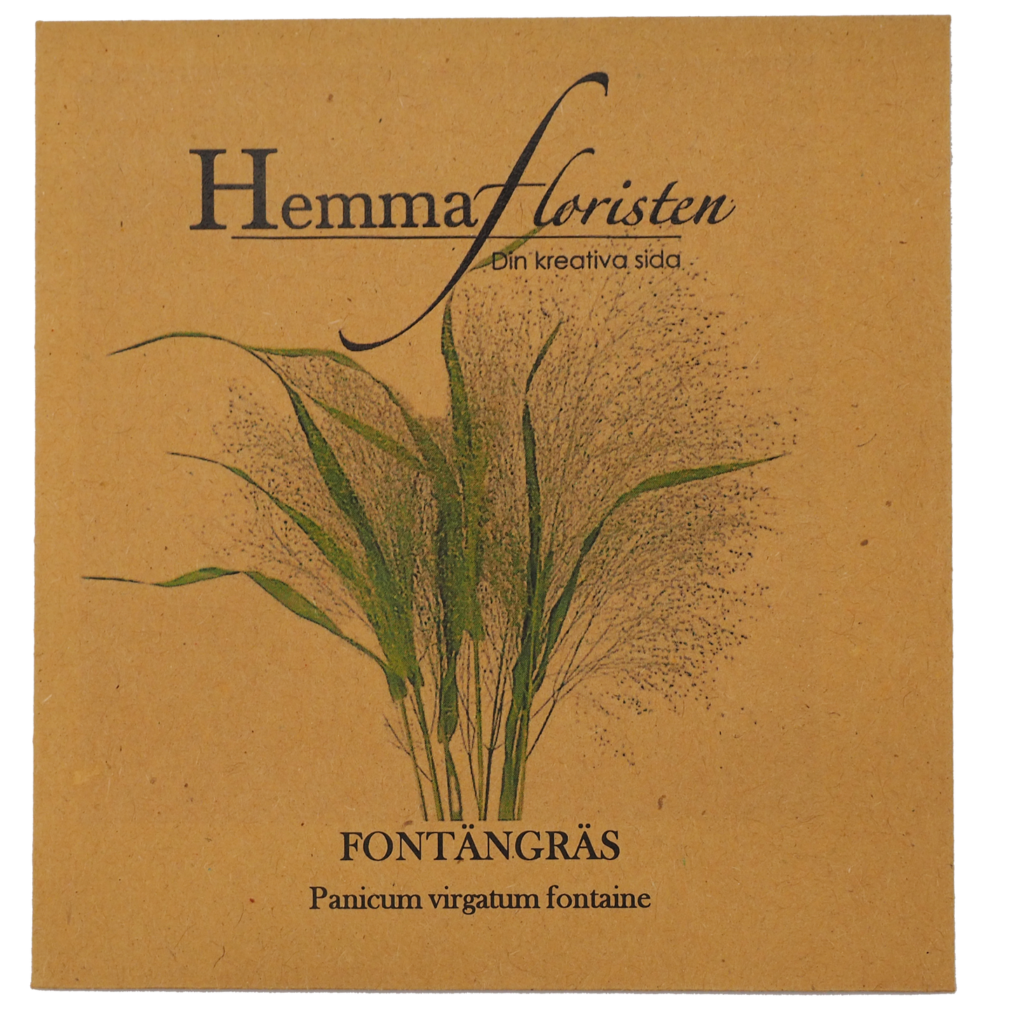 Fontænegræs