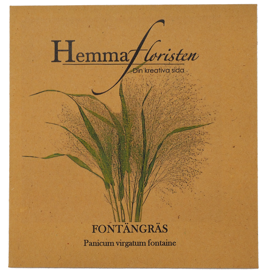 Fontænegræs