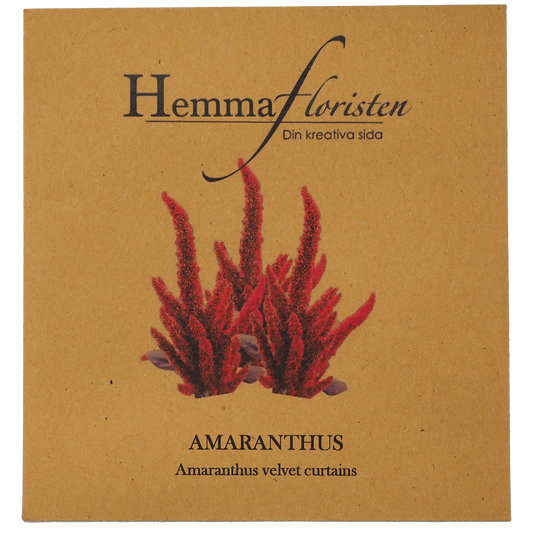 Amaranthus Röd