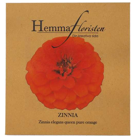 Zinnia - Queen Pure Orange