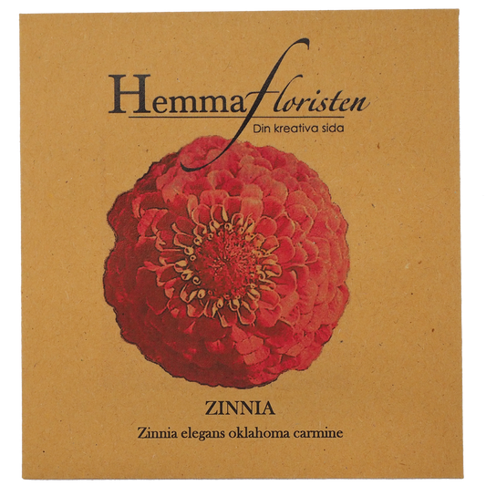 Zinnia - Oklaholma Carmine