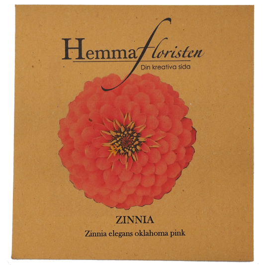 Zinnia - Oklahoma Pink