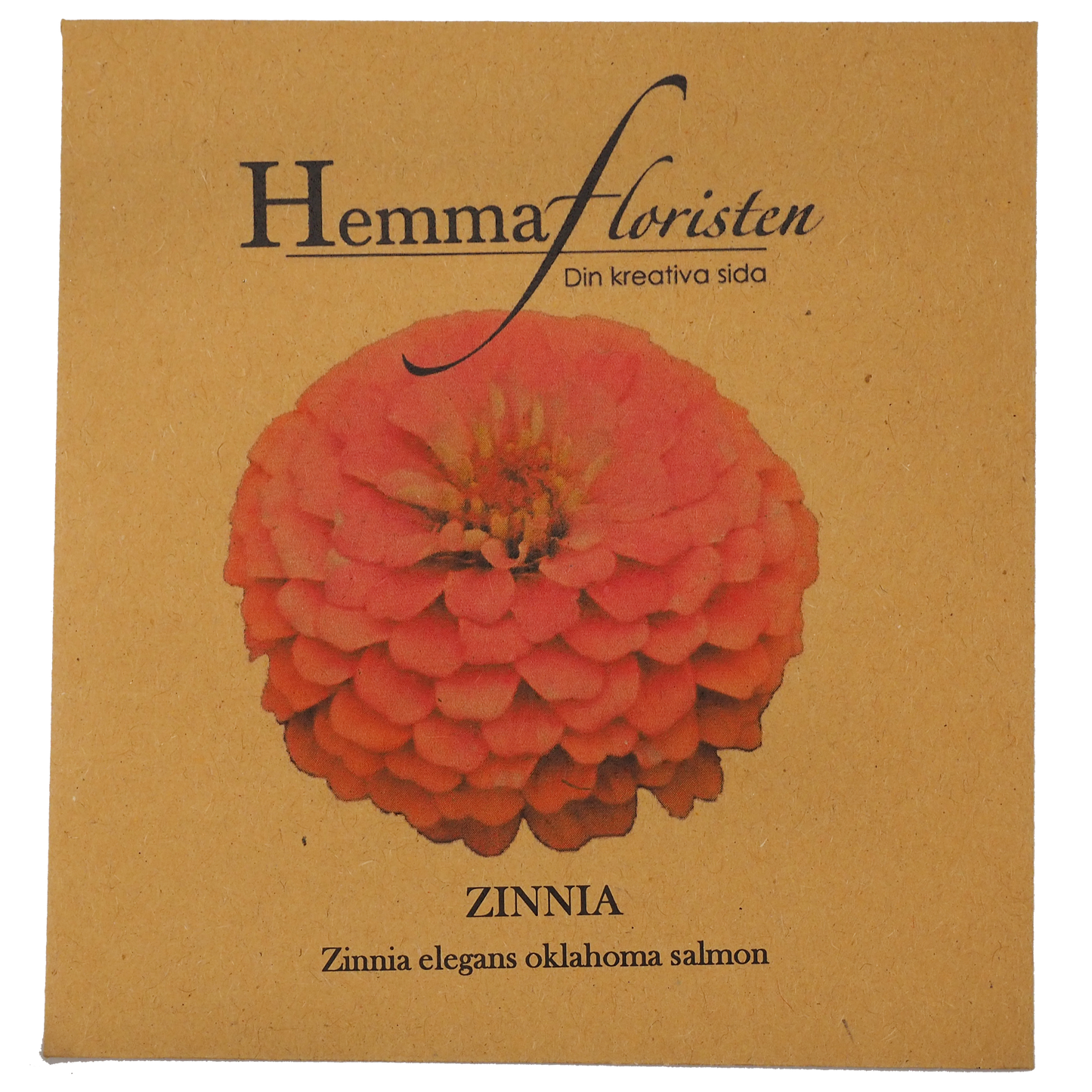 Zinnia - Oklahoma Salmon