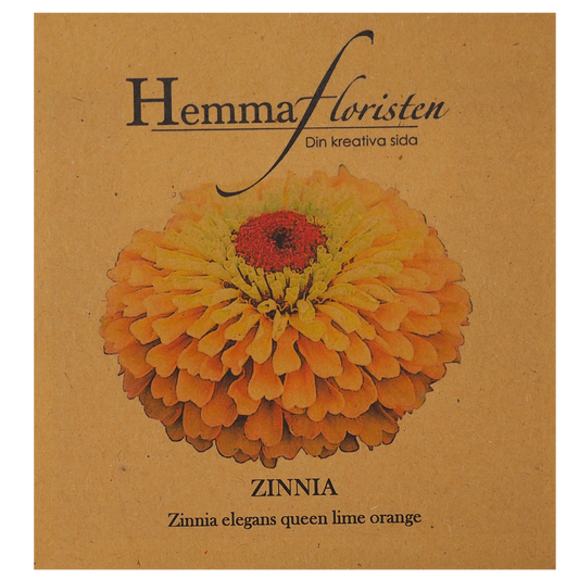 Zinnia - Queen Lime Orange