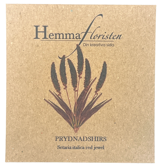 Cob hirse 'Red Jewel'