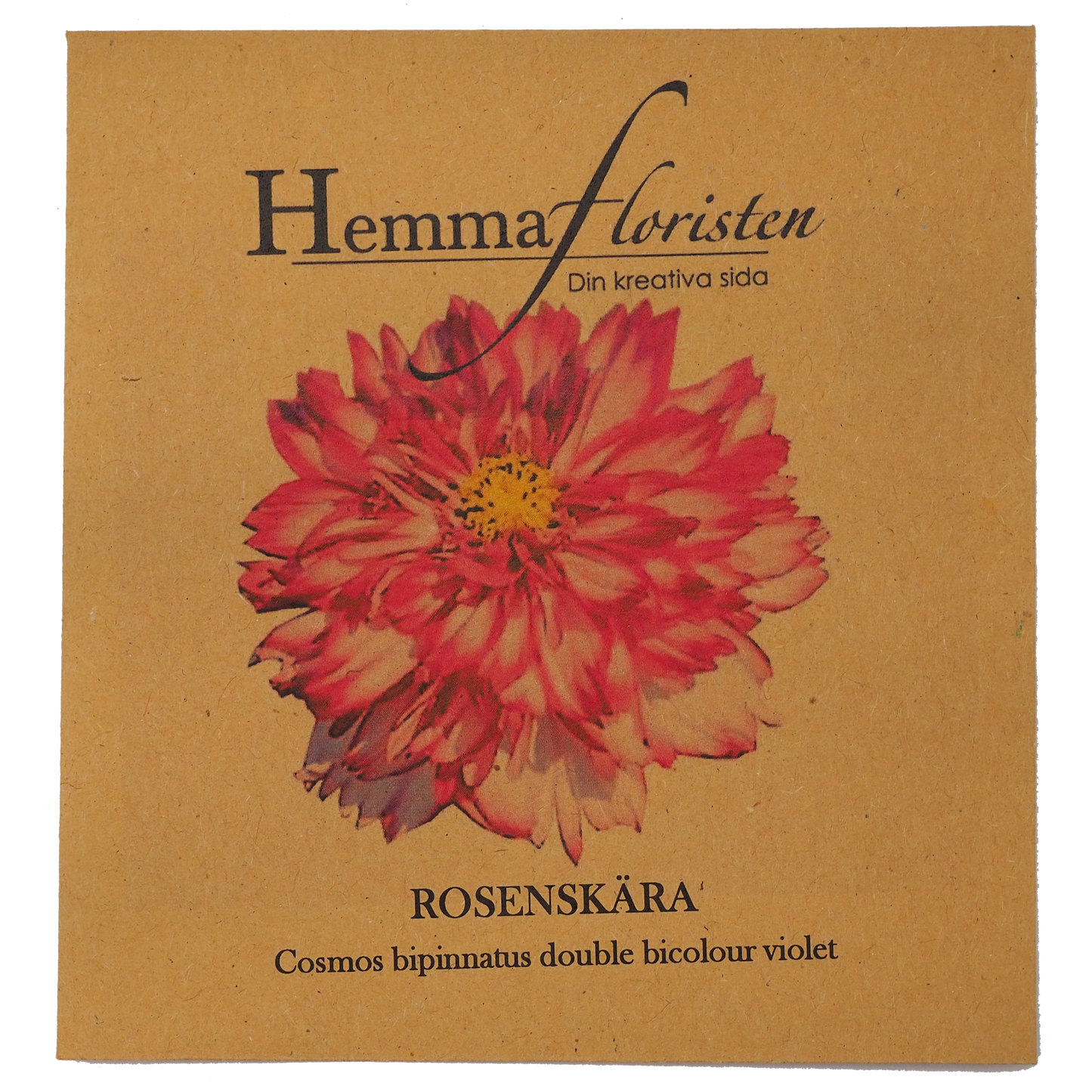 Rose skåret Double Click Bicolour Violet