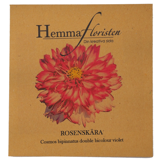 Rosenskära Double Click Bicolour Violet
