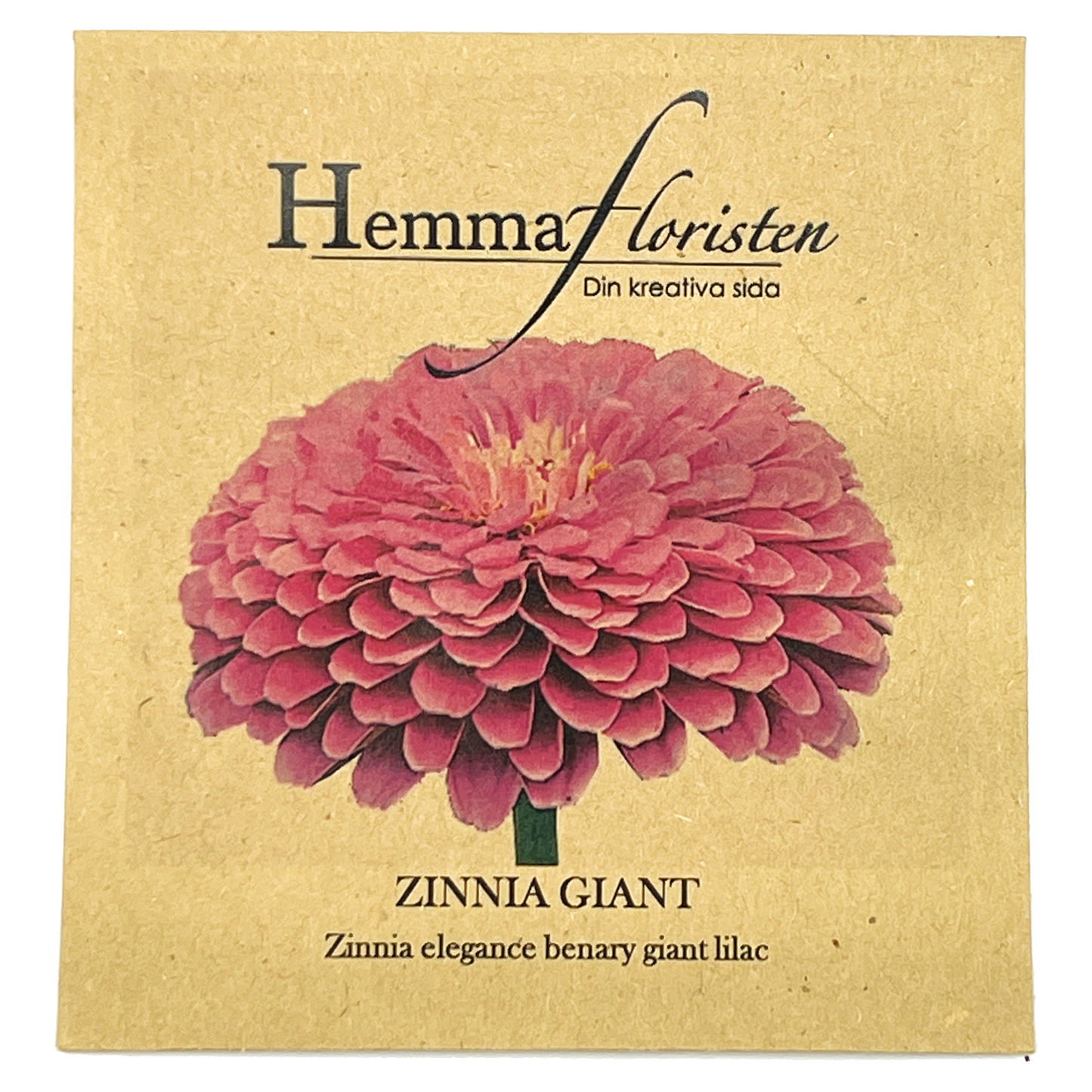 Zinnia Giant - Benary giant lilac