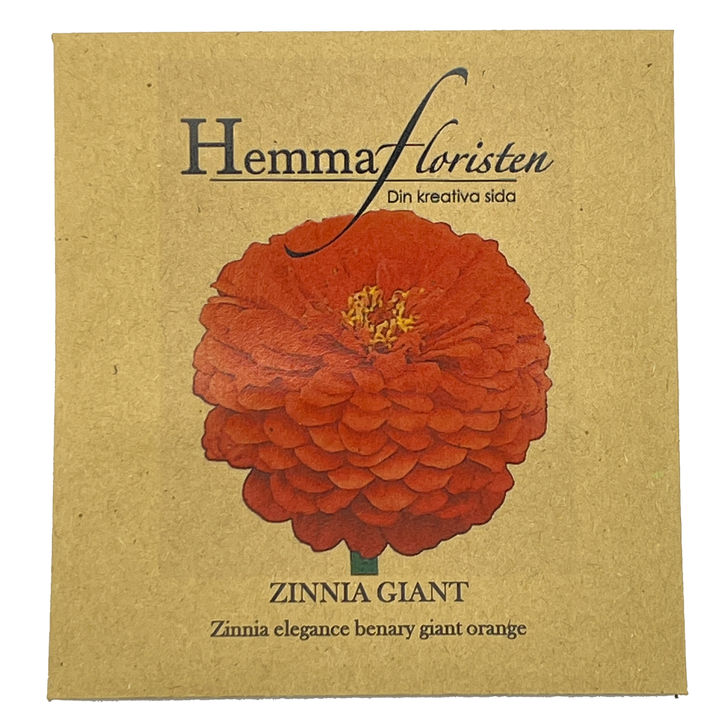 Zinnia Giant - Benary giant orange