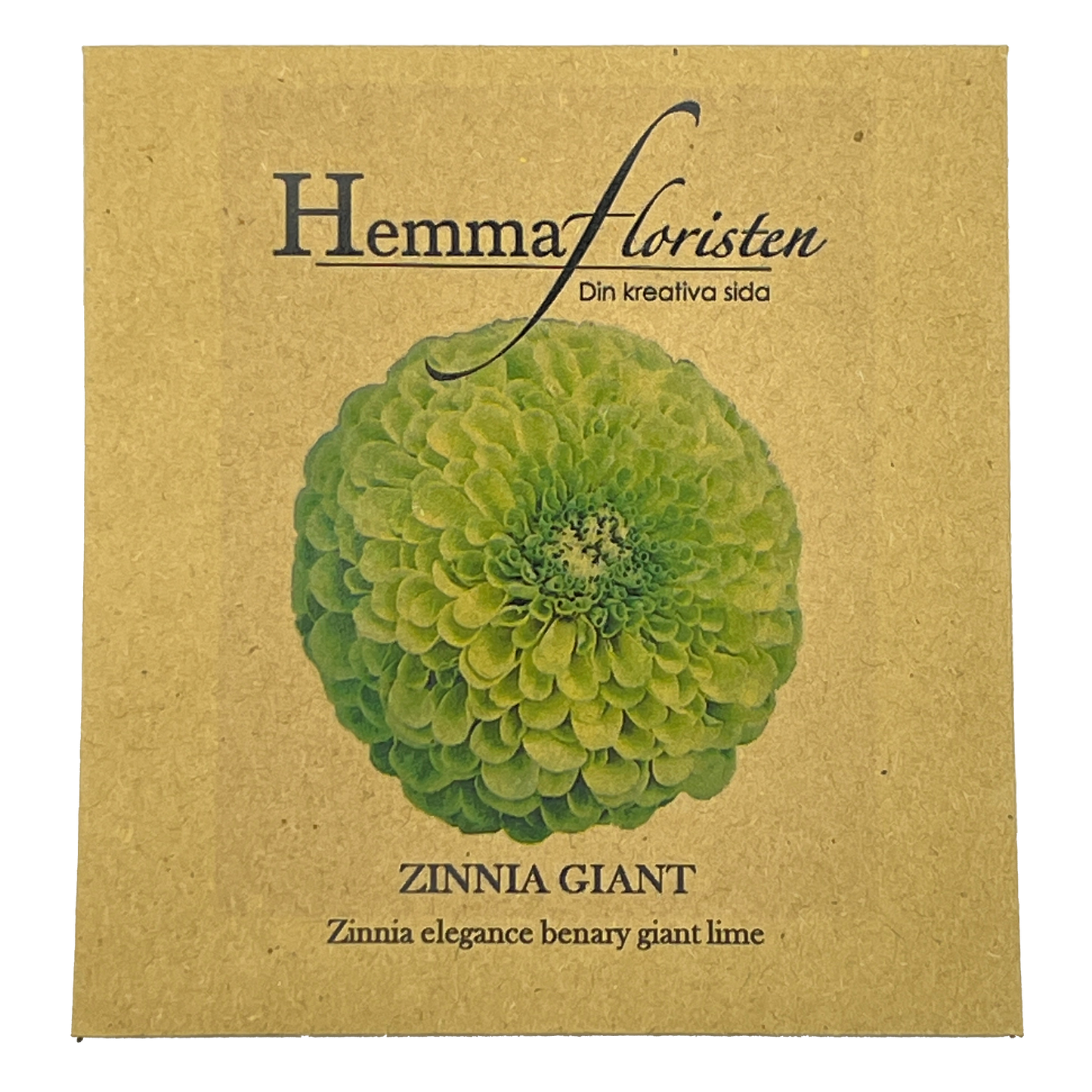 Zinnia Giant - Benary giant lime