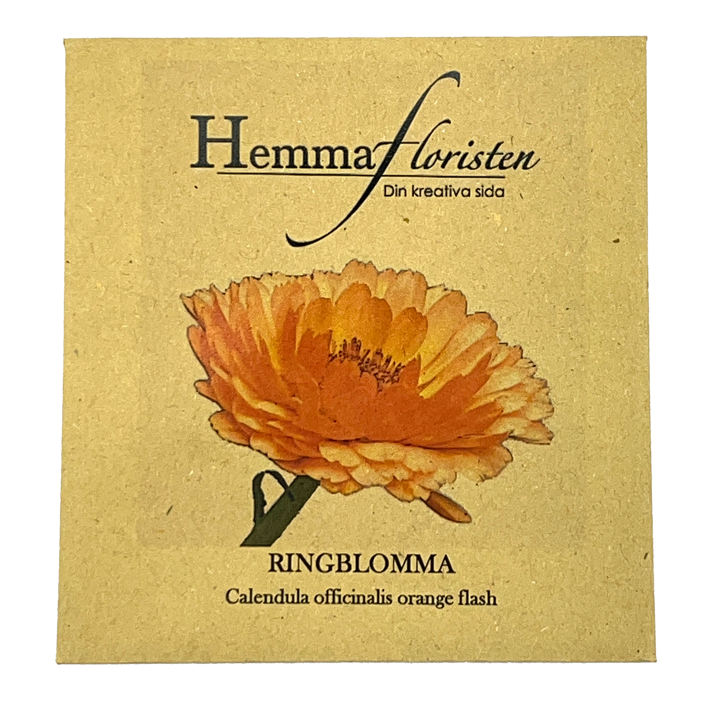 Ringblomma Orange Flash