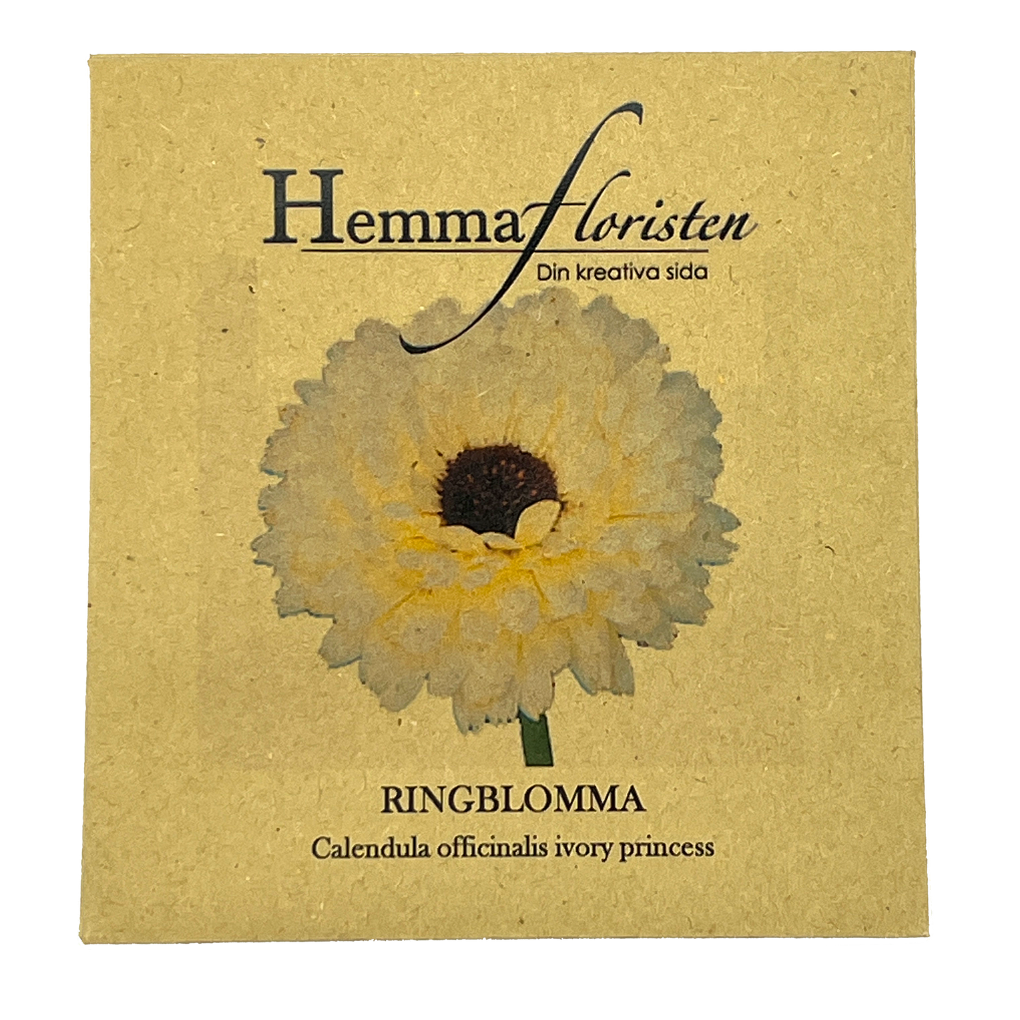 Ringblomma Ivory Princess