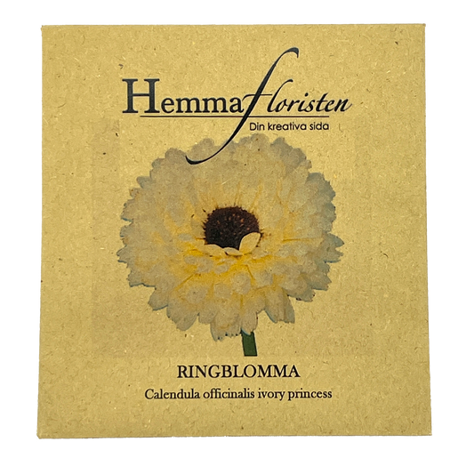 Ringblomma Ivory Princess