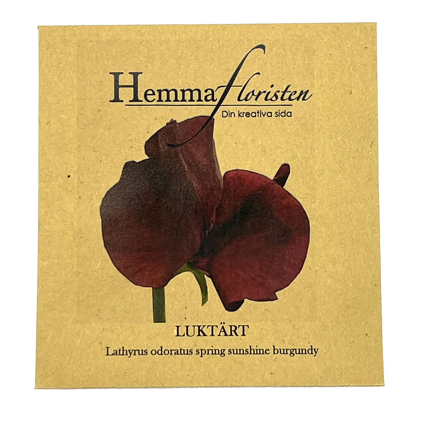 Luktärt - Sunshine Burgundy