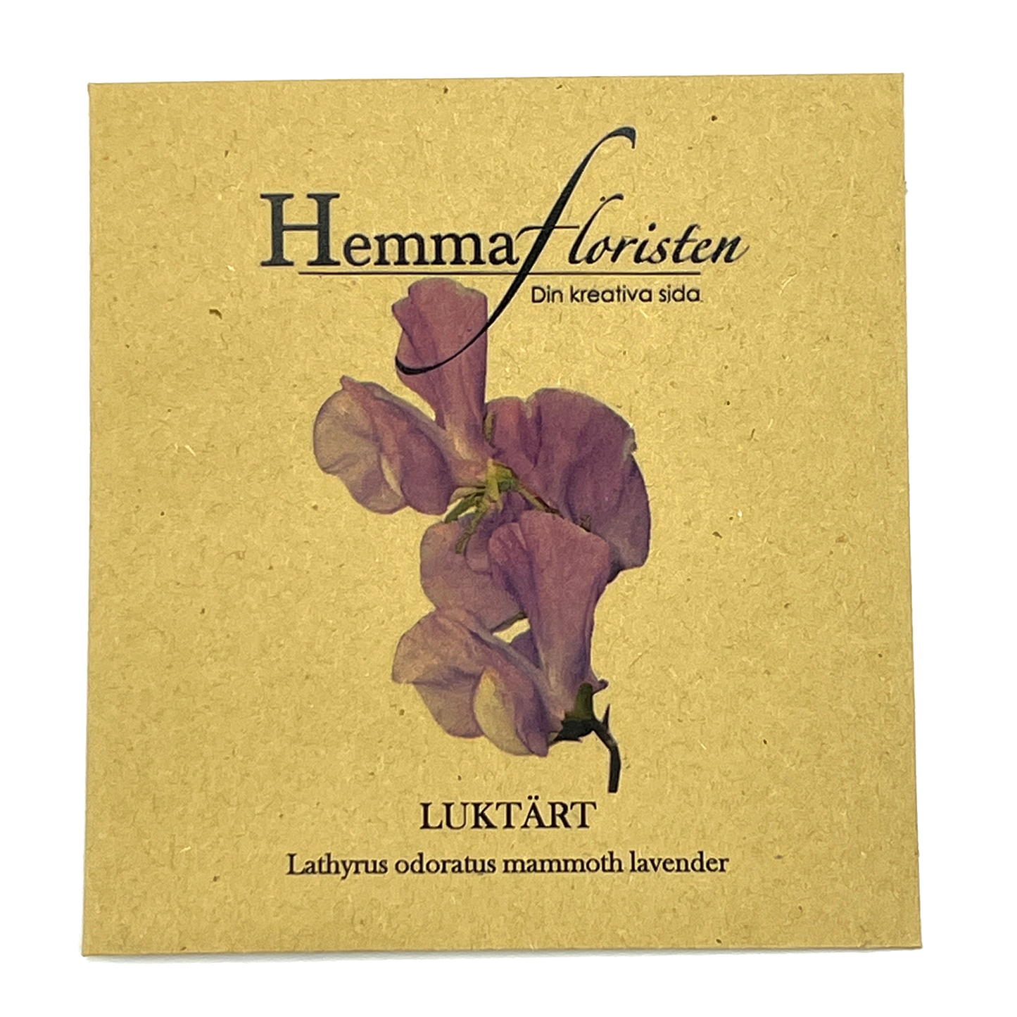 Luktärt Mammoth Lavender