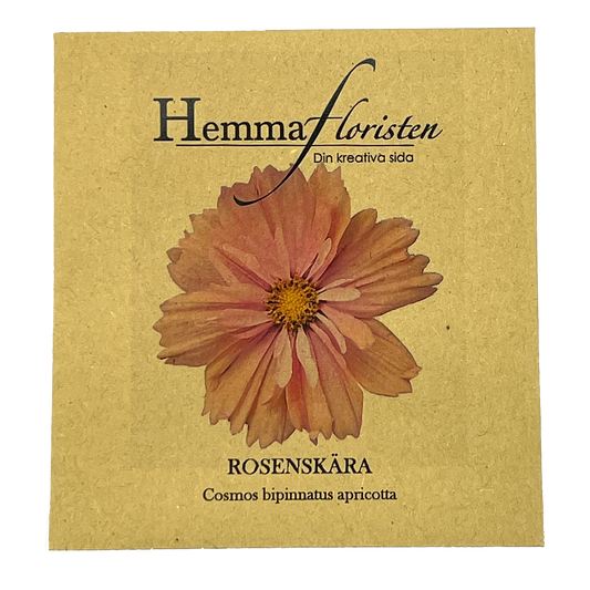 Rosenskära Apricotta