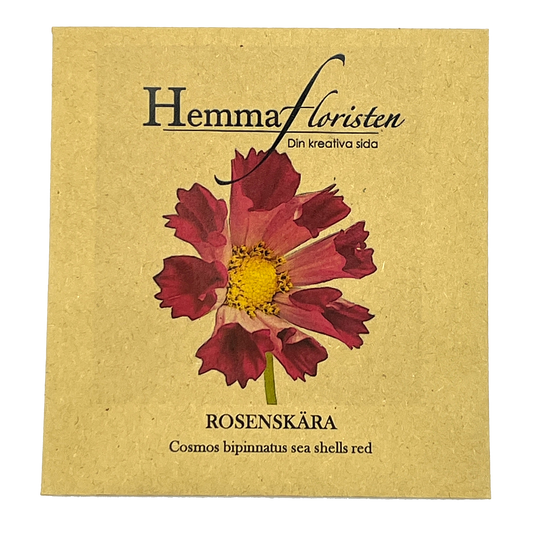 Rosenskära Sea Shells Red