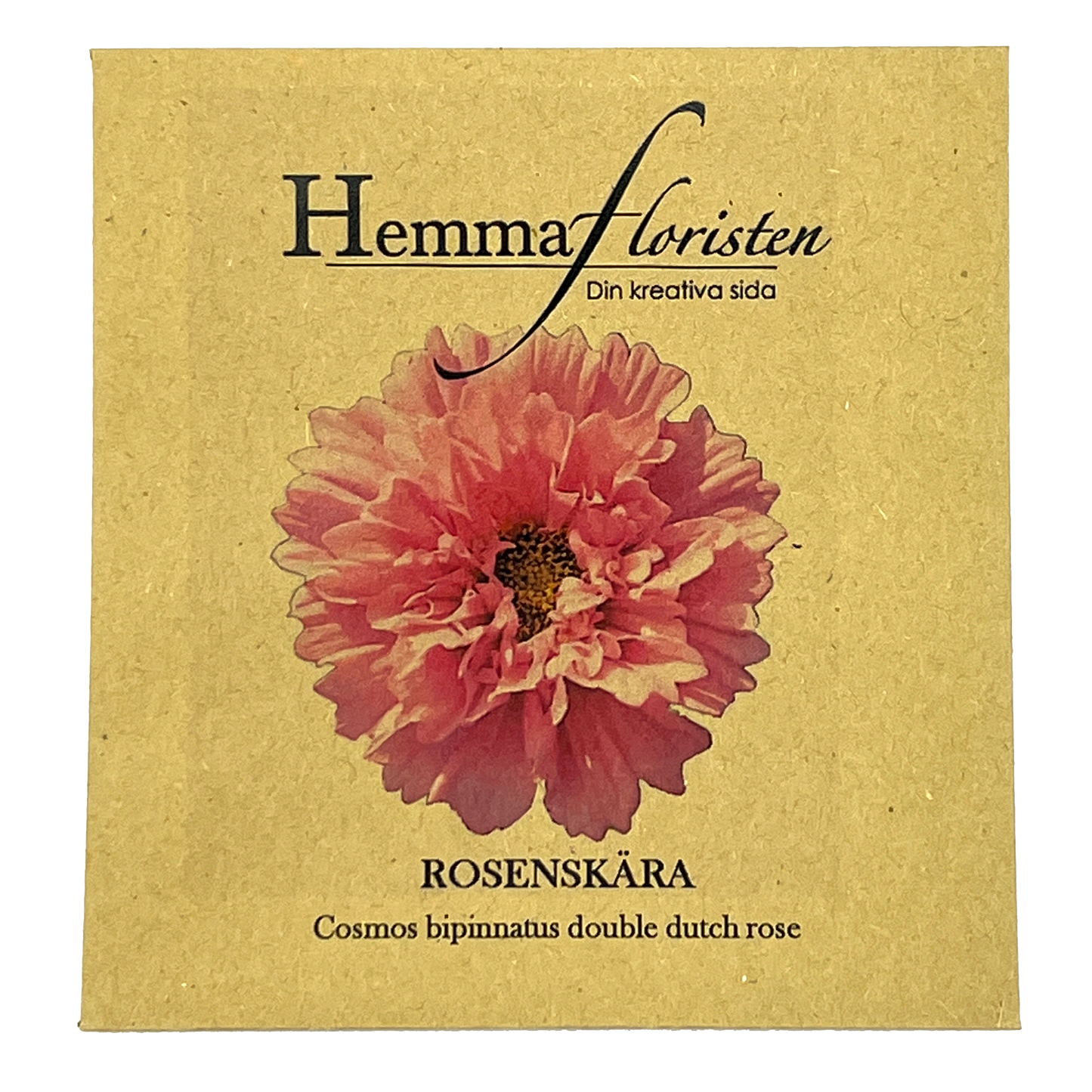 Rosenskära Double Dutch Rose