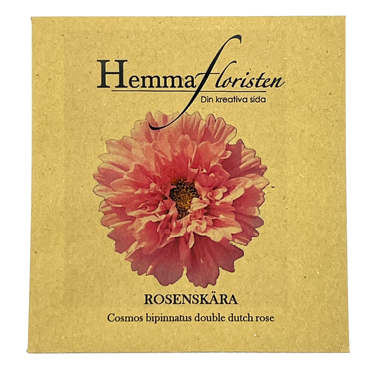 Rosenskära Double Dutch Rose