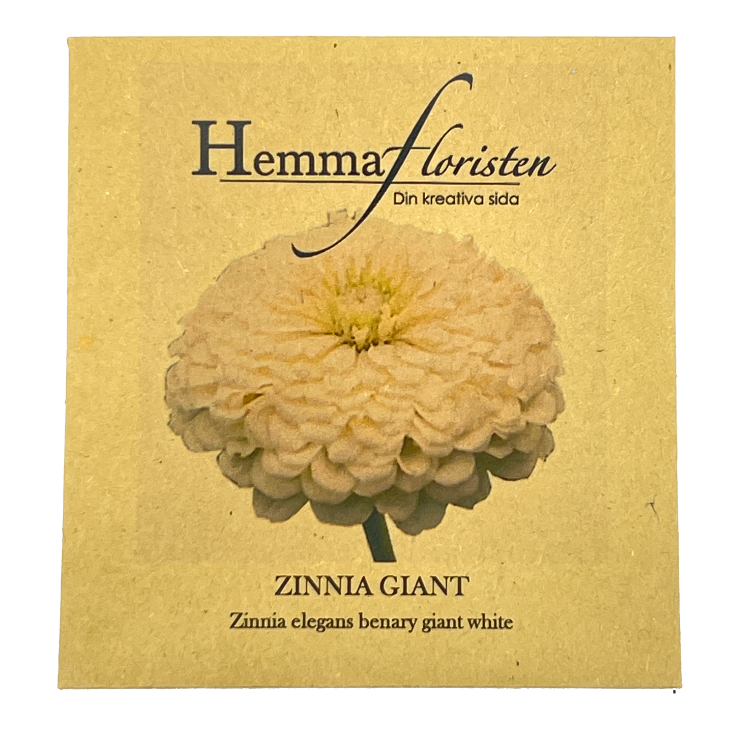 Zinnia Giant White