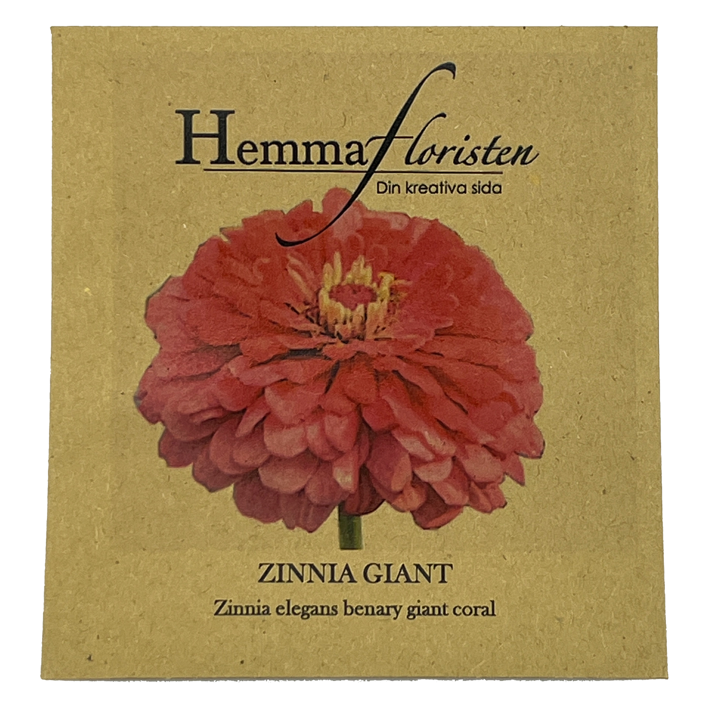 Zinnia Giant Coral
