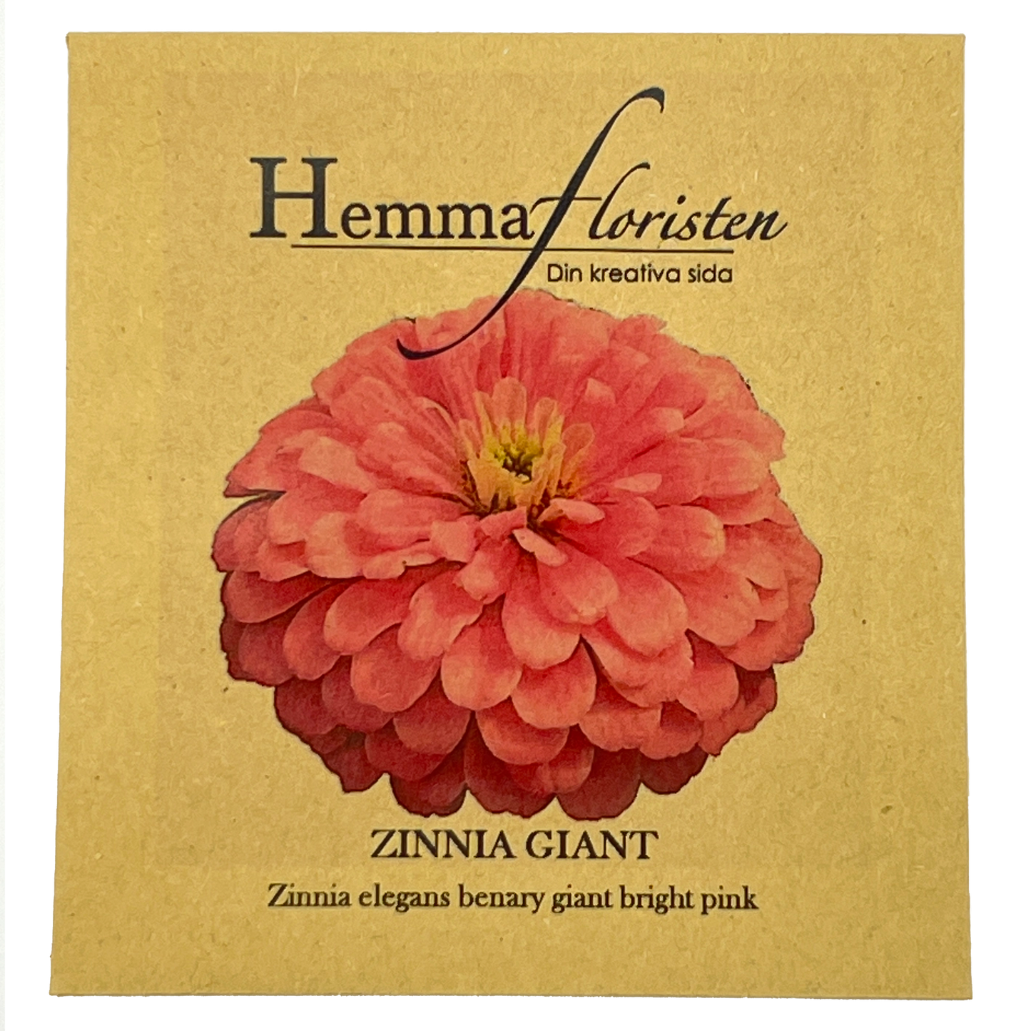 Zinnia Giant Bright Pink