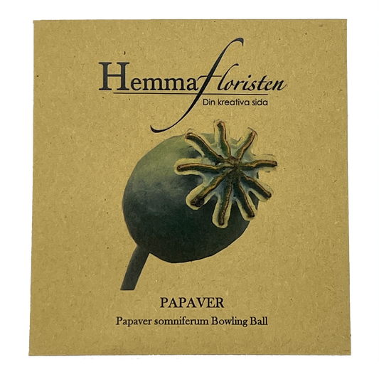 Papaver Bowling ball