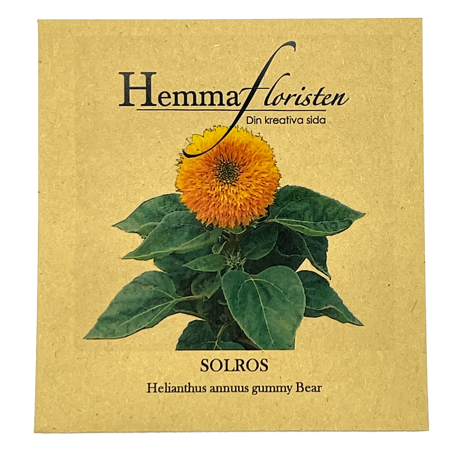 Solros Gummy Bear