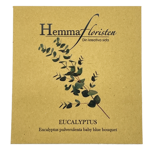 Eucalyptus Baby Blue buket