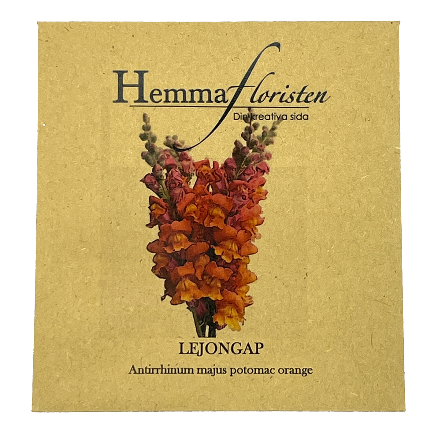 Løvemund Orange