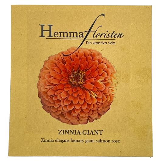 Zinnia Giant Salmon Rose