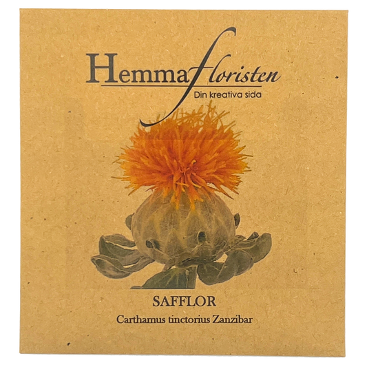 Safflor - Carthamus tinctorius Zanzibar