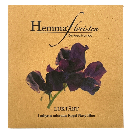 Luktärt - Royal navy blue