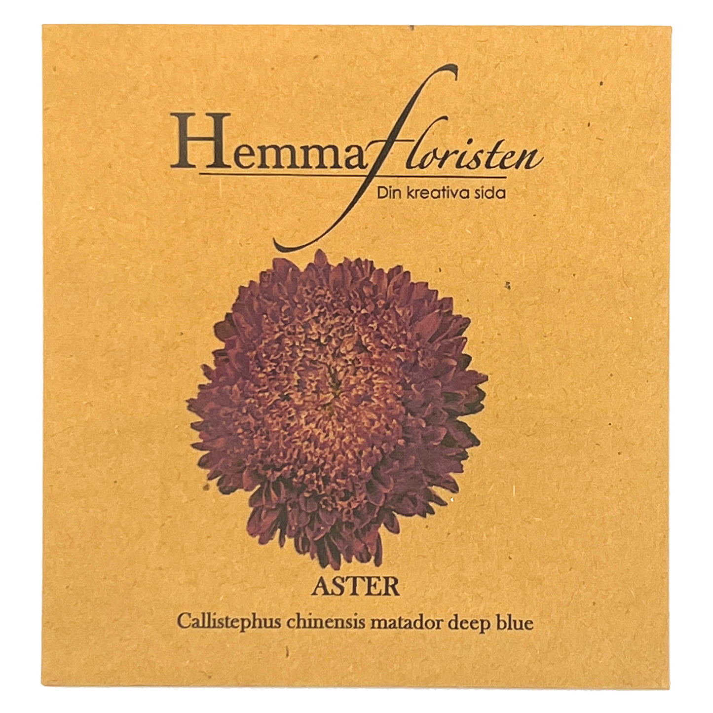Aster - Callistephus chinensis Matador Deep Blue