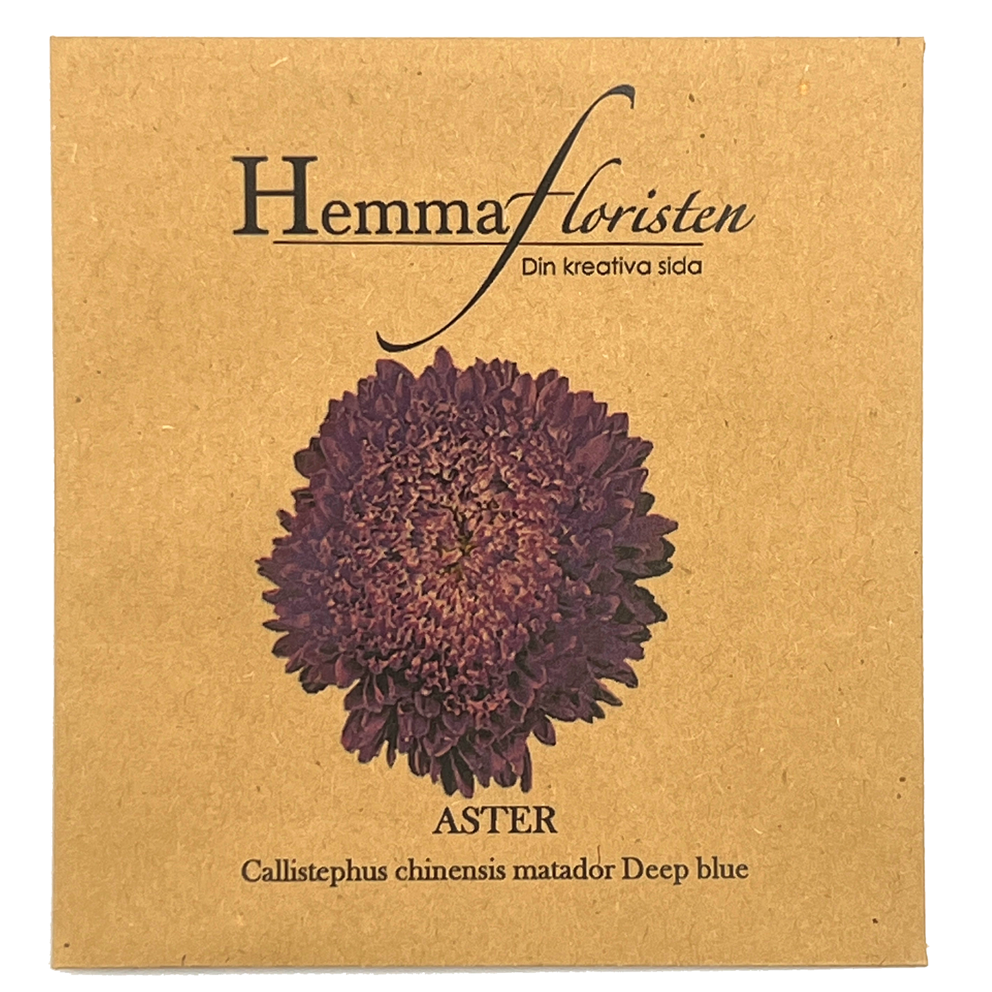 Aster - Callistephus chinensis Matador Deep Blue