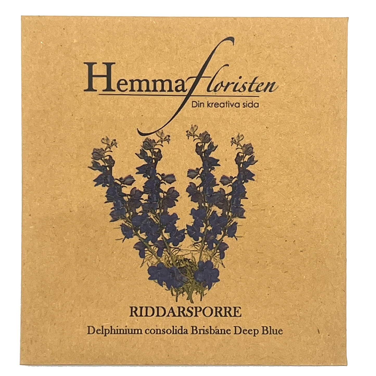 Riddarsporre - Delphinium Brisbane deep Blue