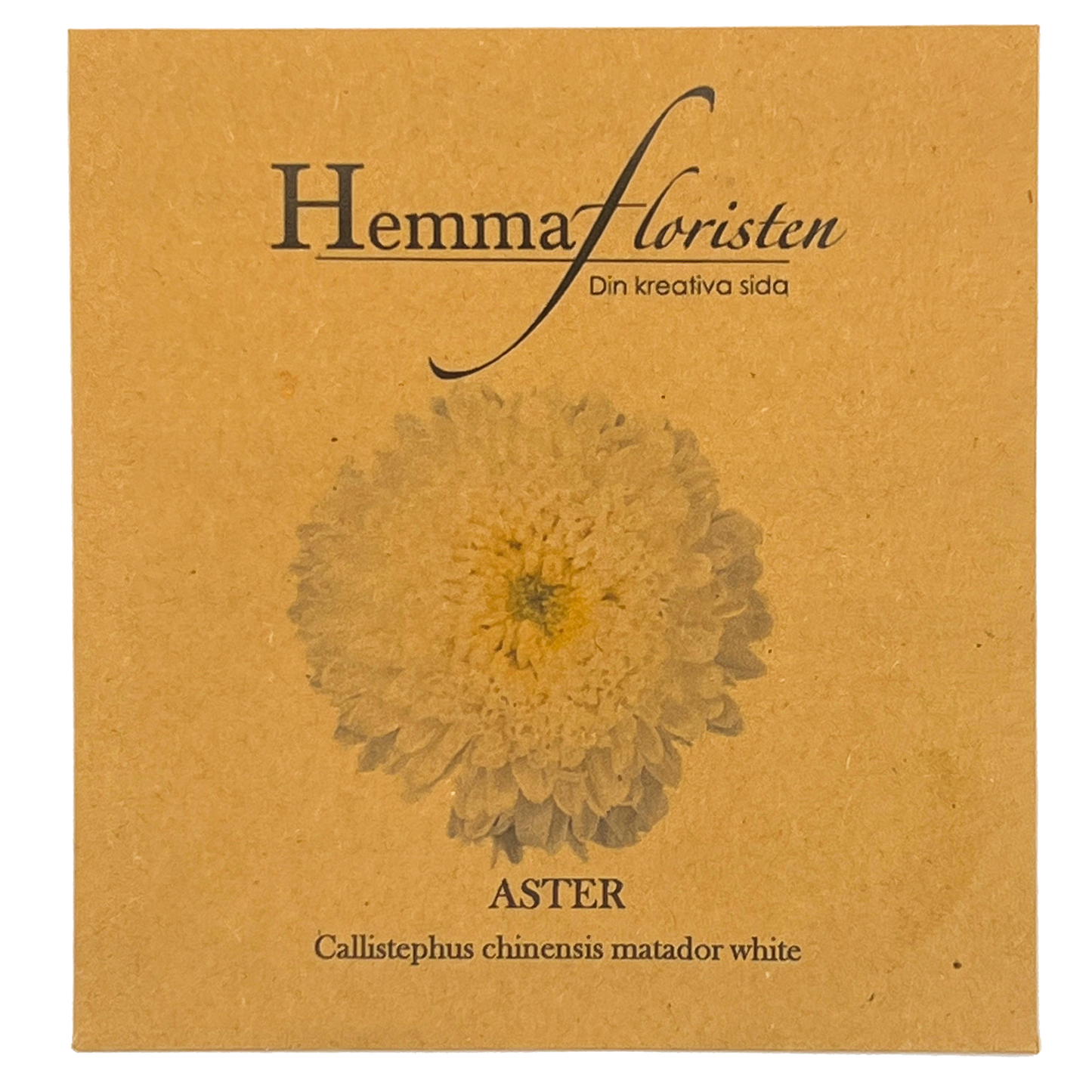 Aster - Callistephus chinensis Matador white